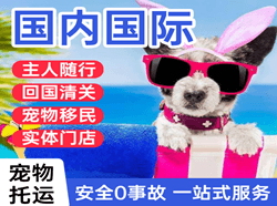 抚远东极航空运输国际宠物托运 【国